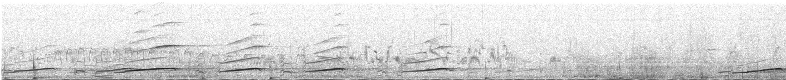 Arctic Loon - ML233120