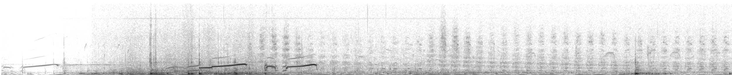 Plongeon arctique - ML233122