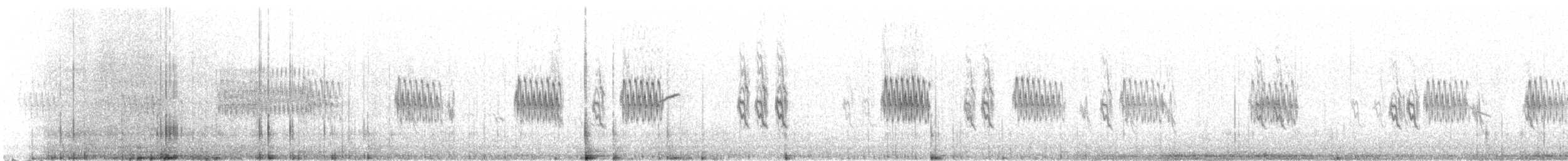 ベニヒワ（亜種 コベニヒワ exilipes/hornemanni） - ML233162