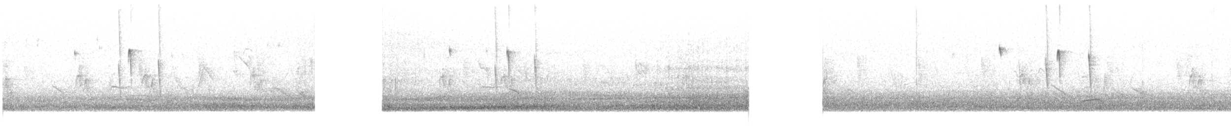 White-crested Tyrannulet (White-bellied) - ML233173651