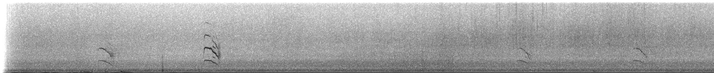 Common Tern (longipennis) - ML233177