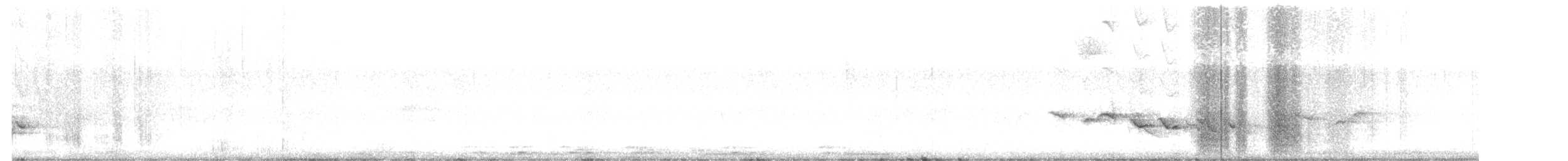 Baltimore Oriole - ML233179131