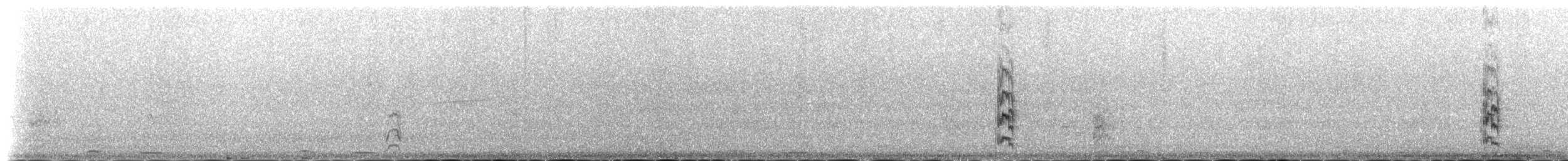 白翅黑燕鷗 - ML233189