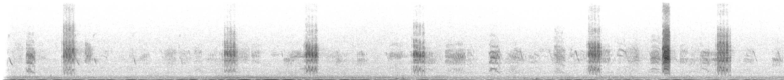 白翅黑燕鷗 - ML233196