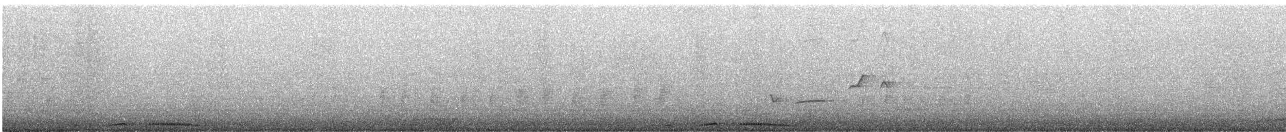 珠頸斑鳩(chinensis/tigrina) - ML233249731