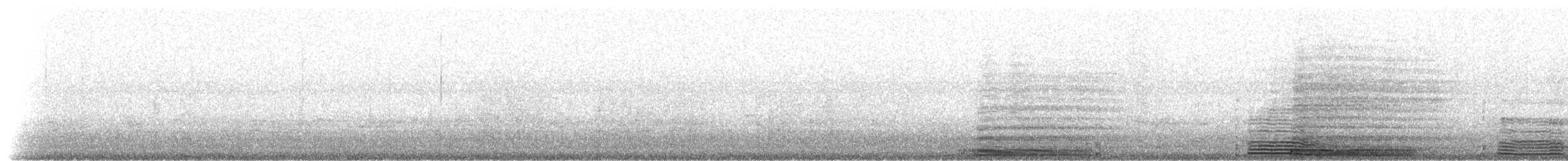 Cormoran à aigrettes - ML233274