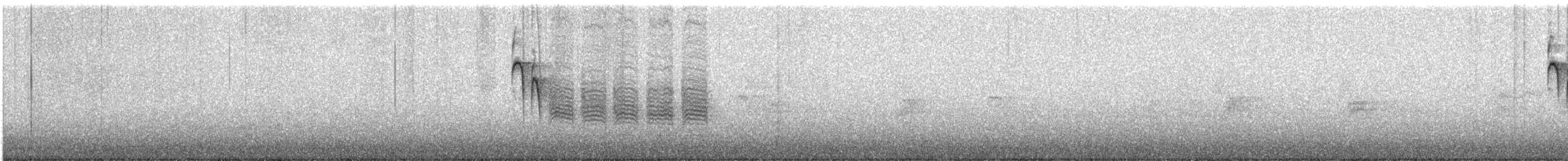 Carbonero Cabecinegro - ML23330491