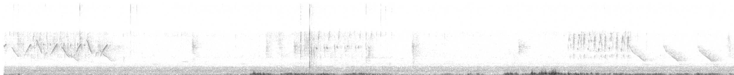 Troglodyte des marais - ML233310111