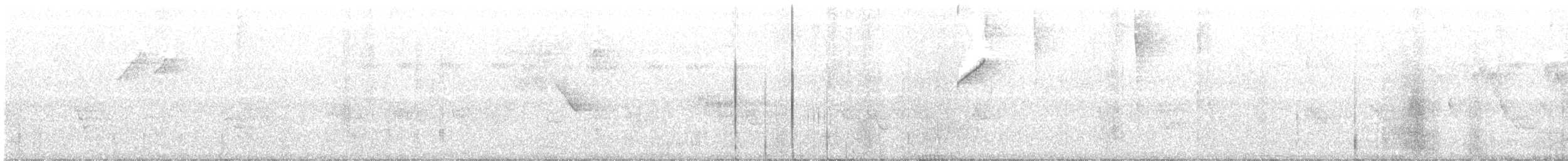kolibřík ryšavoocasý - ML233327181