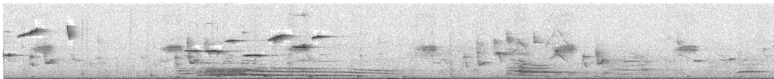 Serin d'Abyssinie - ML233399961