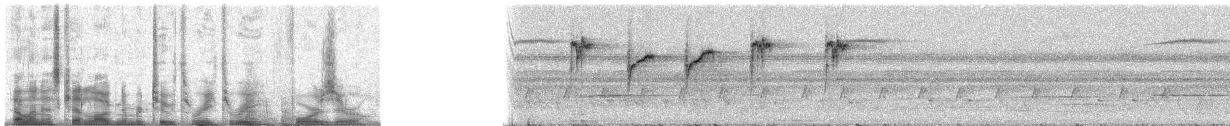 Саїманга оливкова - ML23340