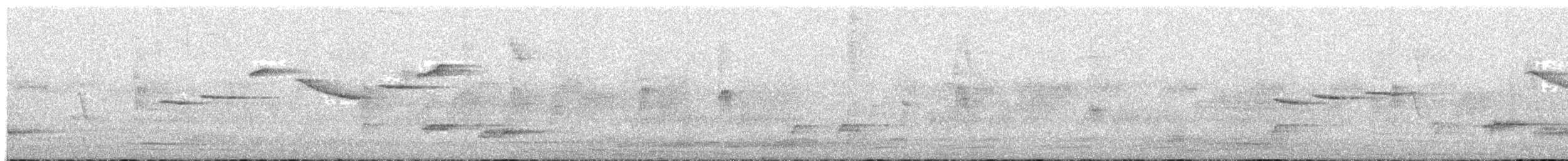 Serin d'Abyssinie - ML233412031