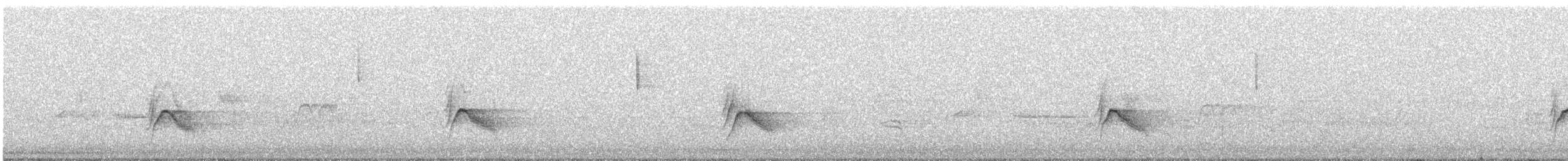 Gray-cheeked Thrush - ML233418261