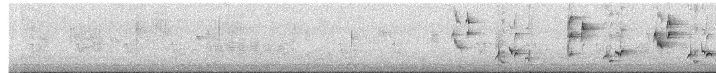 Gray Catbird - ML233422921