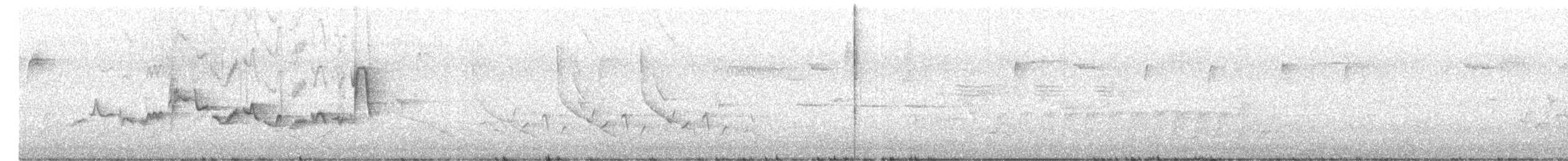 Warbling Vireo - ML233424411