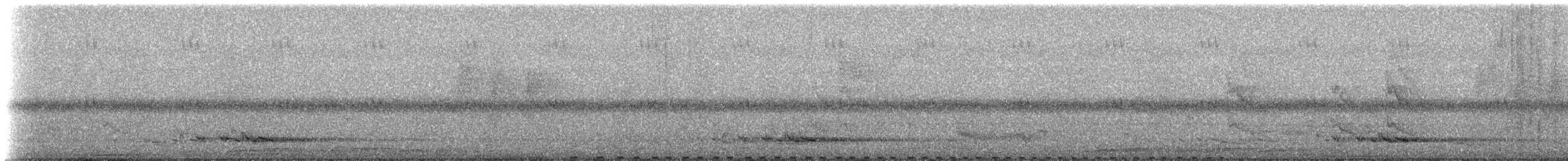 svartbrystspringvaktel - ML233434