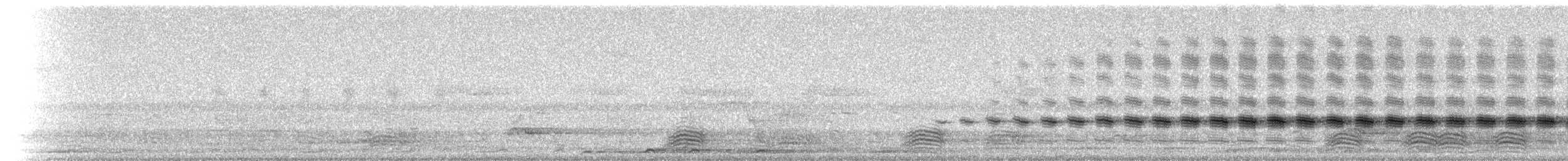 Sahul Cicadabird - ML233448