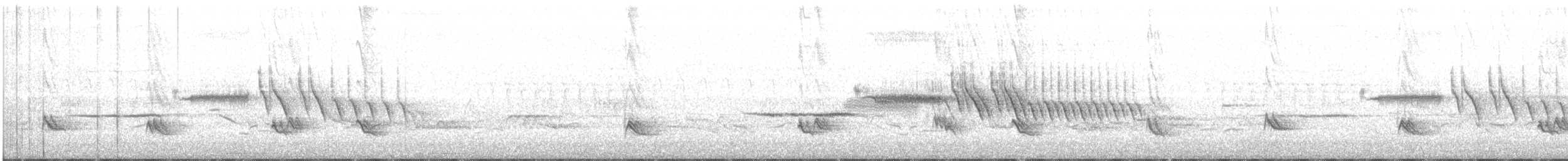 Western Bluebird - ML233452481