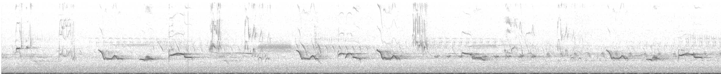 American Robin - ML233452511