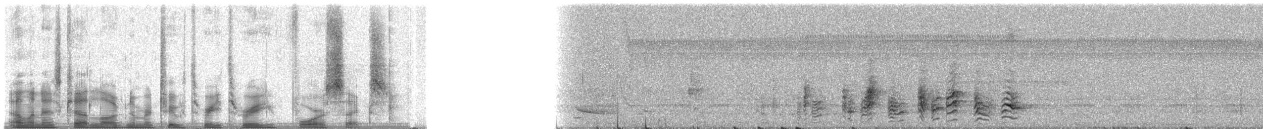 Simple Greenbul - ML23346