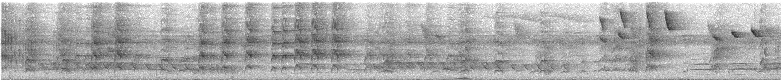 Амазонская которра (amazonum) - ML233483721