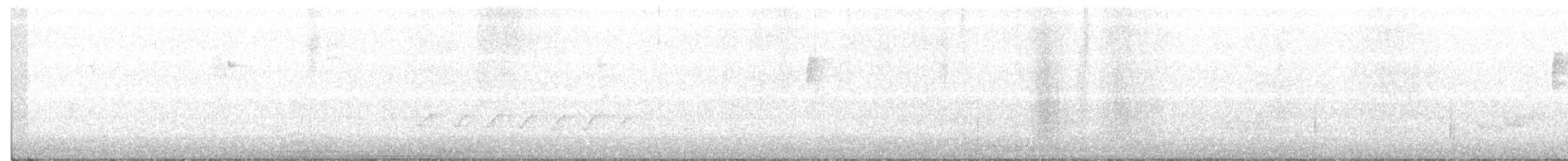 Yellow-billed Cuckoo - ML233521261