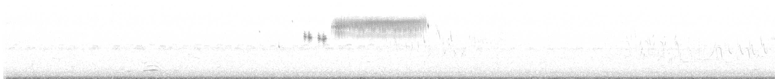 Çekirge Sesli Çayır Serçesi - ML233579351