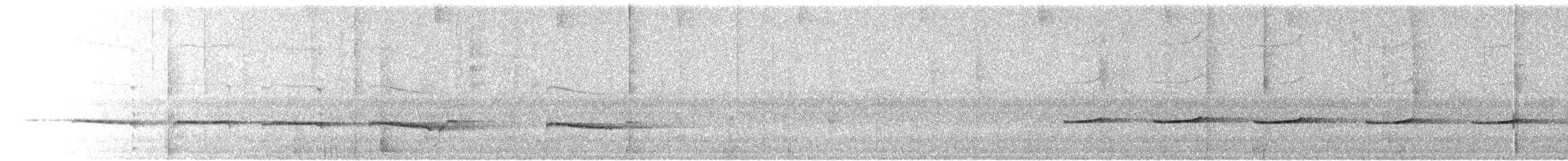Дідрик смугастощокий (підвид plagosus) - ML233600