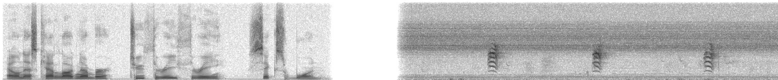 Cozumel Vireo - ML23361