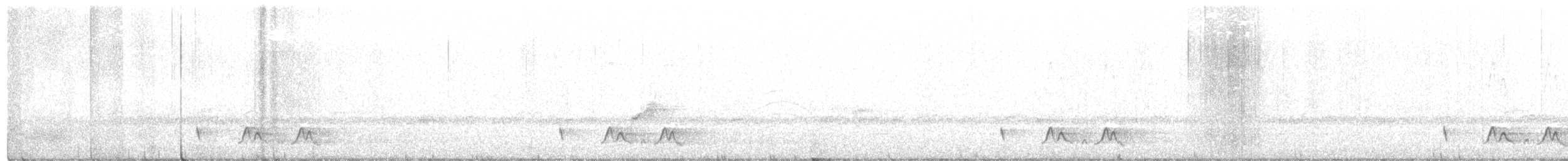 Carolinanachtschwalbe - ML233628841