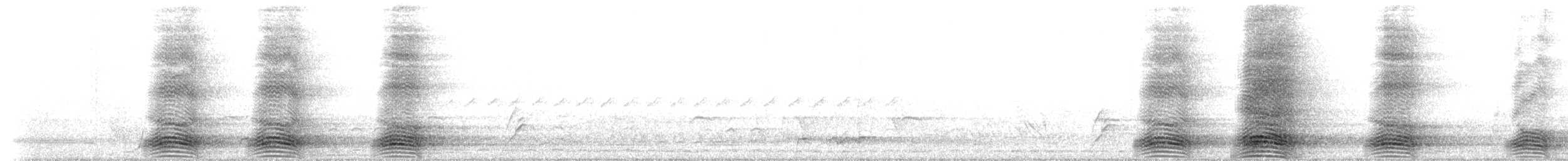 Torresian Crow - ML233643