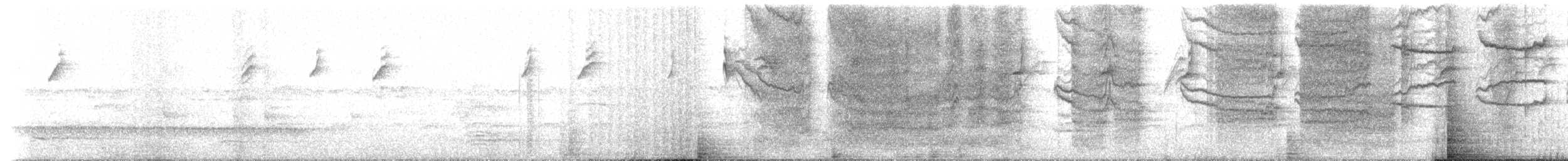 White-browed Scrubwren (Buff-breasted) - ML233667