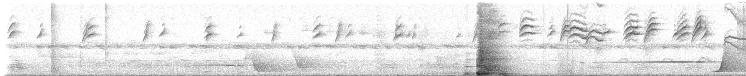 White-browed Scrubwren (Buff-breasted) - ML233668