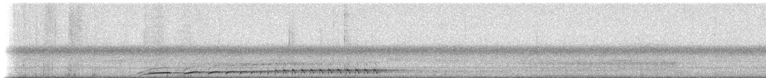 White-throated Nightjar - ML233672