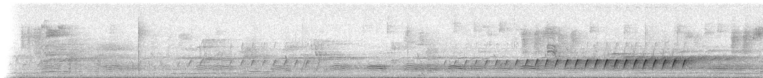 White-throated Treecreeper (White-throated) - ML233674