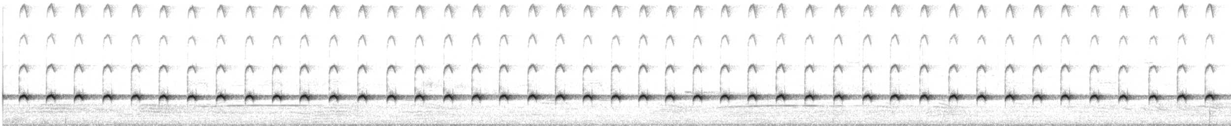 Королаз плямистобокий [група leucophaea] - ML233675