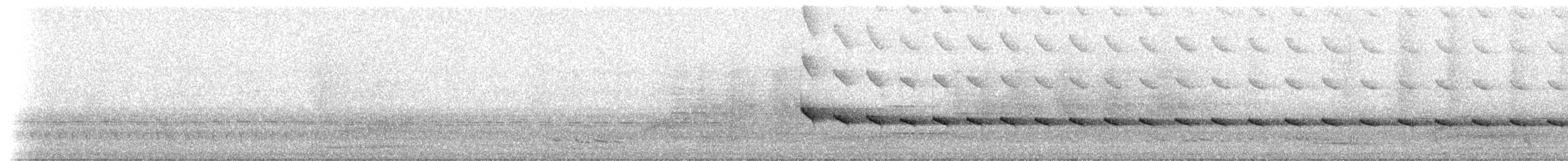 White-throated Treecreeper (White-throated) - ML233676