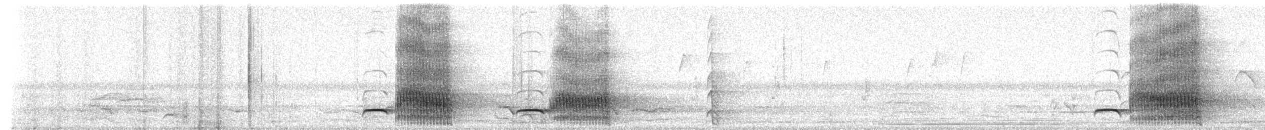 White-winged Chough - ML233679