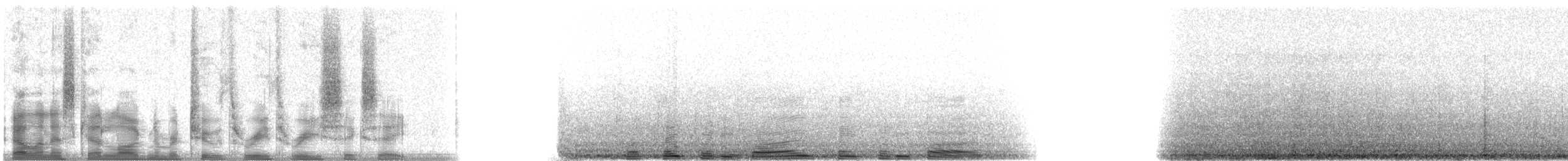 buřňák galapážský - ML23368