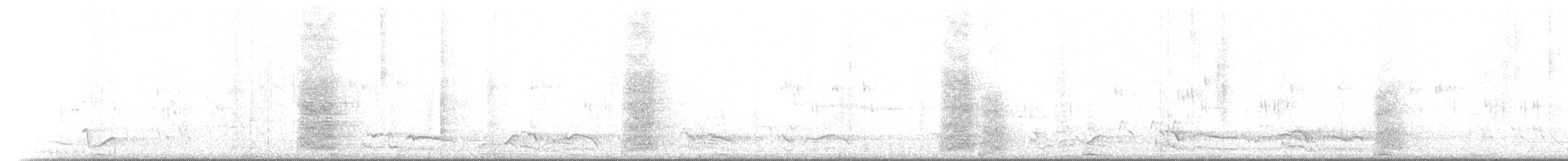 White-winged Chough - ML233681