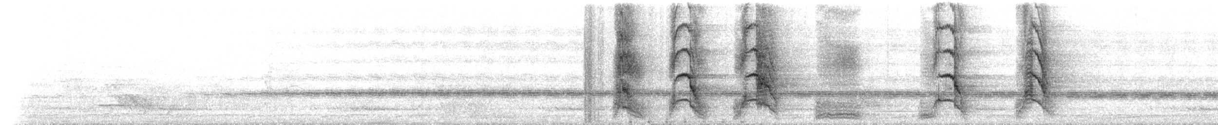 White-winged Chough - ML233684