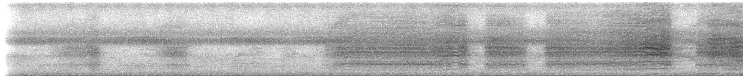 White-winged Chough - ML233686