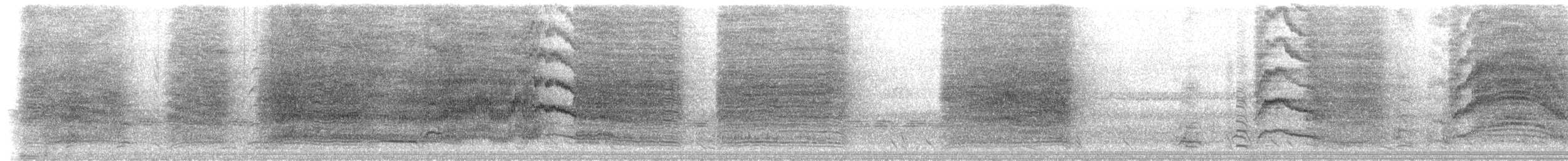 White-winged Chough - ML233687