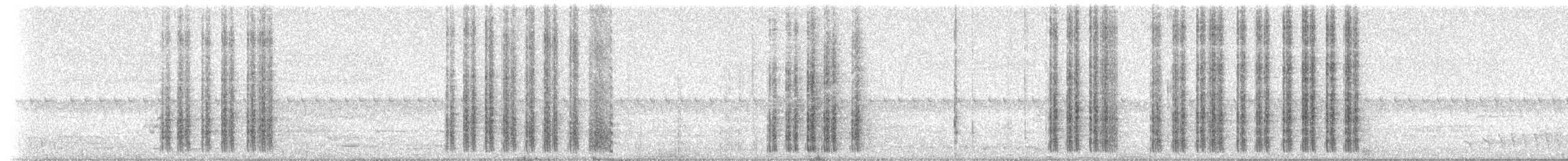 Willie-wagtail - ML233688