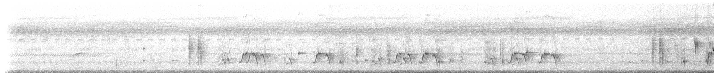 Willie-wagtail - ML233689