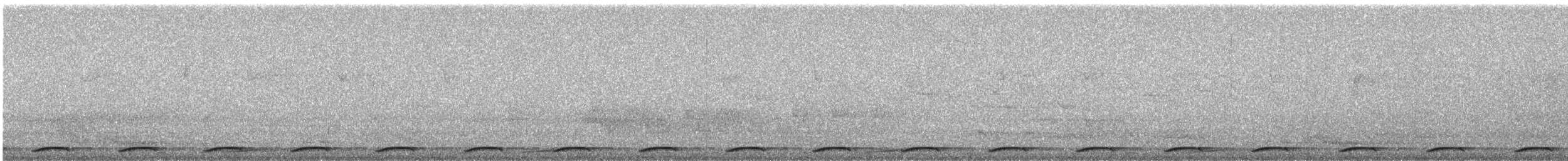 Wonga Pigeon - ML233690