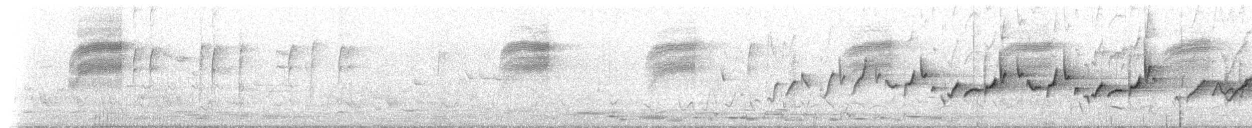 Stutzschnabel - ML233707