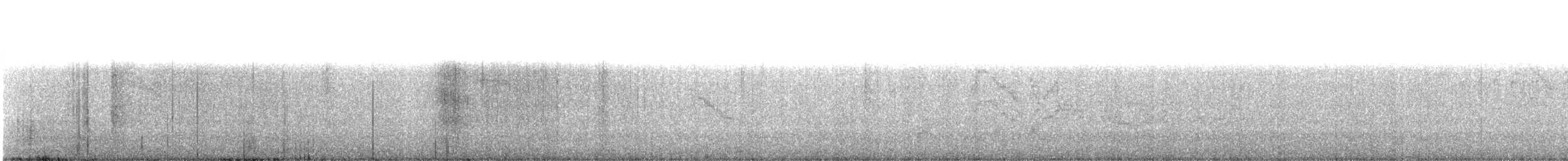 Дрізд-короткодзьоб канадський - ML233707871