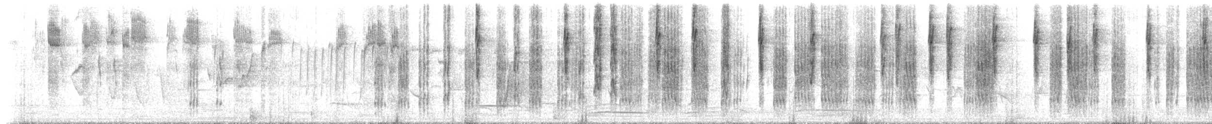 Stricheldornschnabel - ML233708