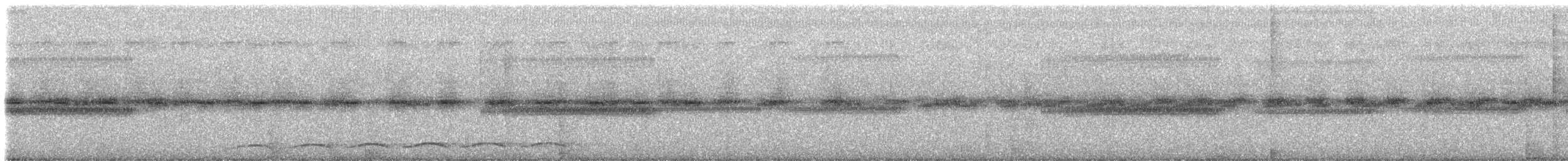 Тихоокеанский коэль (cyanocephalus/subcyanocephalus) - ML233789